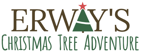 Erway's Christmas Tree Adventure