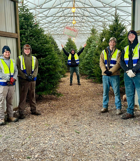 tree crew